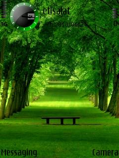 Beautiful Nature