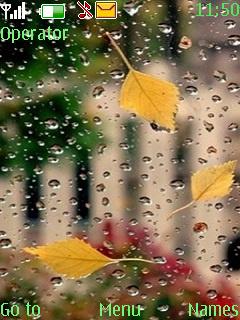 Rain With Tone