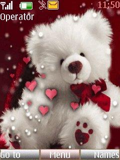 Teddy With
