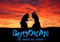Budokan: The martial spirit