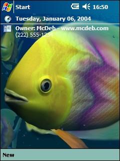 3-D Tropical Fishes Theme for Pocket PC
