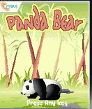 Panda Bear