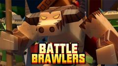 Battle brawlers