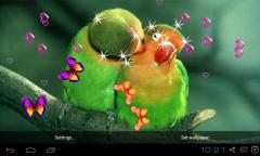 3D Cute Bird Live Wallpapers