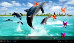 3D Dolphin Live Wallpapers
