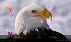 3D Eagle Live Wallpaper