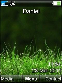 3d Grass