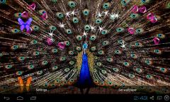 3D Peacocks Live Wallpaper