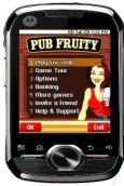 Pub Fruity Real Cash Slots