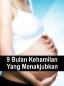 9 Bulan Kehamilan Yang Menakjubkan