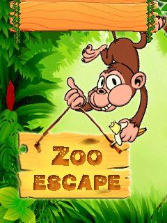 Zoo escape