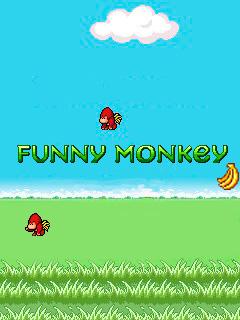 Funny monkey