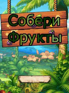 Collect fruits