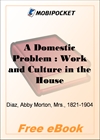 A Domestic Problem : Work and Culture in the Household for MobiPocket Reader