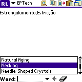 AW English-Portuguese Technical Dictionary (Palm OS)