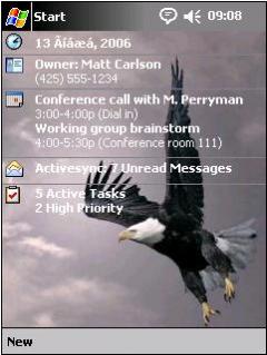 American Eagle AJ Theme for Pocket PC