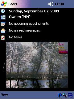 Ani. A Rainy Forest Animated Theme for Pocket PC