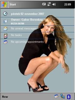 Anna Kurnikova grey BGH Theme for Pocket PC