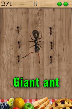 Ant Smasher for iPhone/iPad
