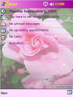 Antique Pink 01 Theme for Pocket PC