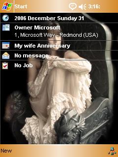 Beautiful Young Bride TBD Theme for Pocket PC