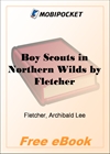 Boy Scouts in Northern Wilds for MobiPocket Reader