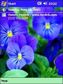 Bright Blue Blooms Theme for Pocket PC