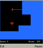Capture (Java)
