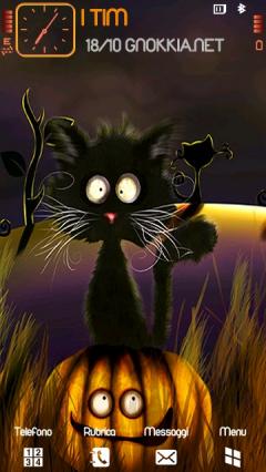 Cat Halloween HD Theme