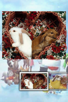 Christmas Bunny Puzzle