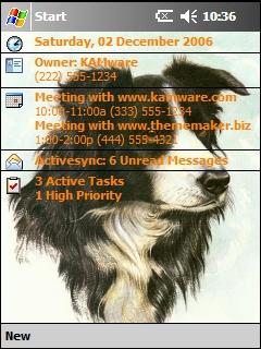 Collie 001 AMF Theme for Pocket PC