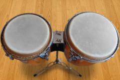 Congas for iPhone/iPad