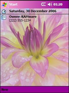 Dahlia AMF Theme for Pocket PC