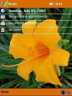 Day Lily 02 Theme for Pocket PC