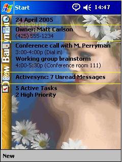 Drew Barrymore 1 Theme for Pocket PC