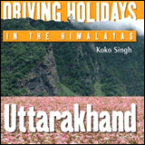 Driving Holidays in the Himalayas, Incredible India (Palm)