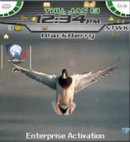 Ducks Theme for Blackberry 7100