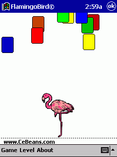 FlamingoBird