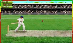 Free Hit Cricket