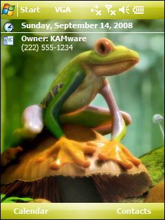 Frog 1 Theme for Pocket PC