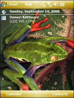 Frog 2 Theme for Pocket PC