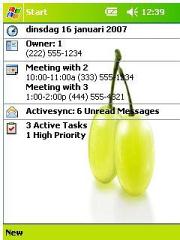 Grapes Theme for Pocket PC