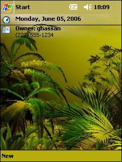 Green 1001 gh Theme for Pocket PC