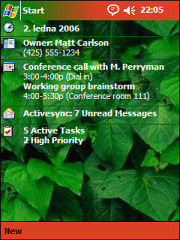 Green Leaf Theme for Pocket PC