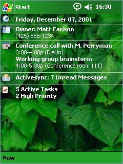 Green Leaves Theme for Pocket PC