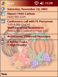 HANDe Computing Thanksgiving 1 Theme for Pocket PC