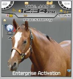 Horse Theme for Blackberry 7100