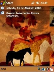 Horses Theme for Pocket PC