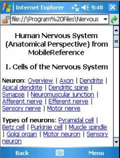 Human Nervous System (Palm OS)