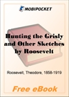 Hunting the Grisly and Other Sketches for MobiPocket Reader